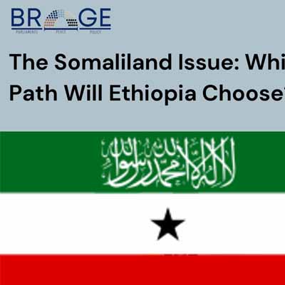 Occasional Paper No.003